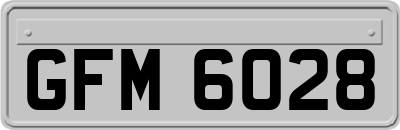 GFM6028