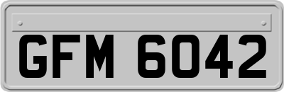 GFM6042