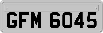 GFM6045