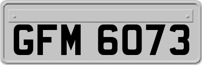 GFM6073