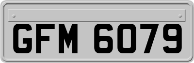 GFM6079