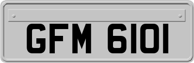 GFM6101