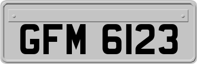 GFM6123