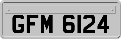 GFM6124
