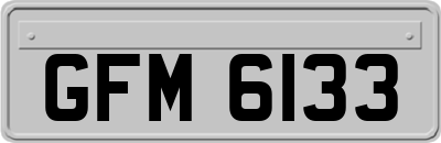 GFM6133