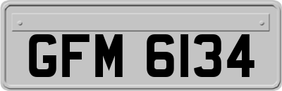 GFM6134