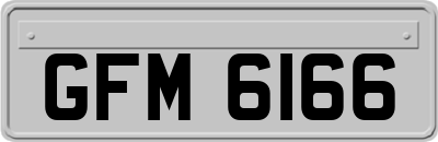 GFM6166