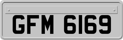 GFM6169