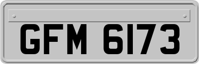 GFM6173