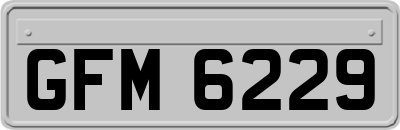 GFM6229