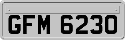 GFM6230