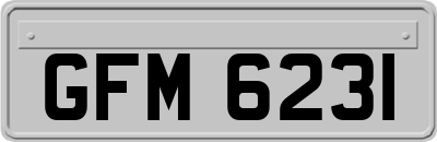 GFM6231