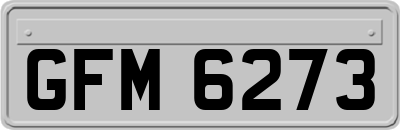 GFM6273