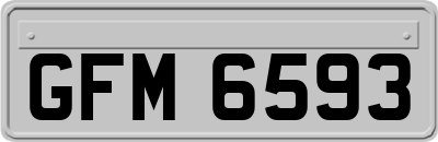 GFM6593