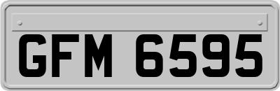 GFM6595