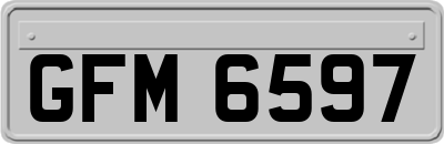 GFM6597