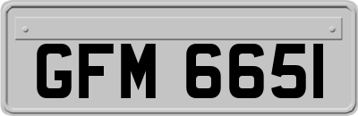 GFM6651