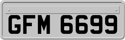GFM6699