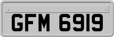 GFM6919
