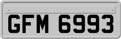 GFM6993