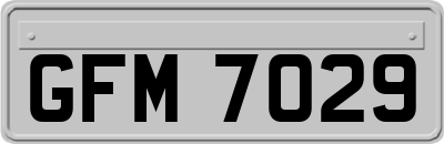 GFM7029
