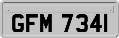 GFM7341