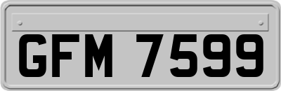 GFM7599
