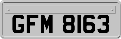 GFM8163