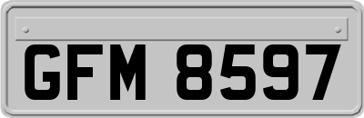 GFM8597