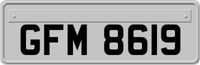 GFM8619