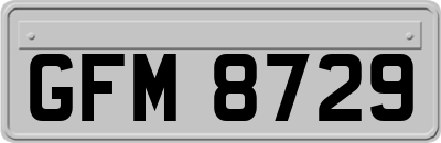 GFM8729