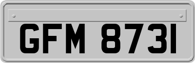 GFM8731