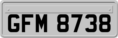 GFM8738