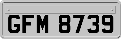 GFM8739