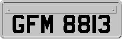 GFM8813