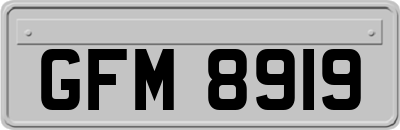 GFM8919