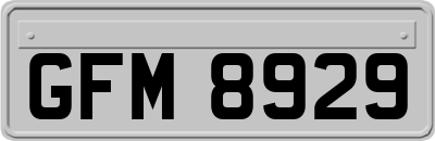 GFM8929