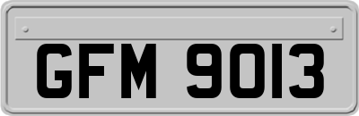 GFM9013