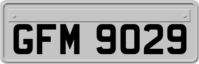 GFM9029