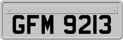 GFM9213