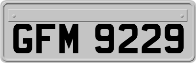GFM9229