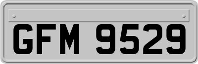 GFM9529