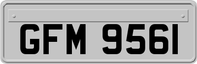 GFM9561