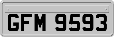 GFM9593