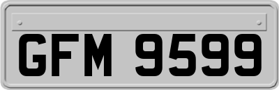 GFM9599