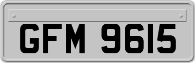 GFM9615