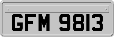 GFM9813