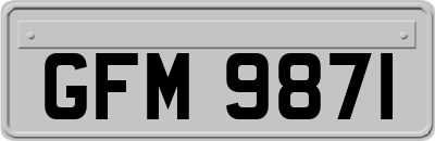 GFM9871