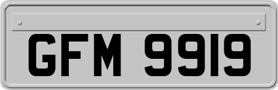 GFM9919