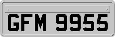 GFM9955